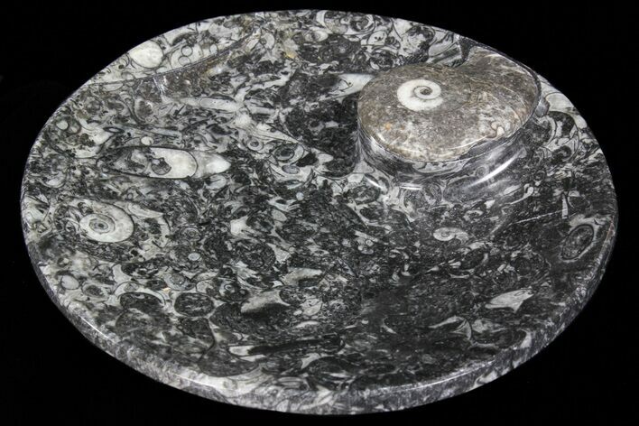 Round Fossil Goniatite Dish #73707
